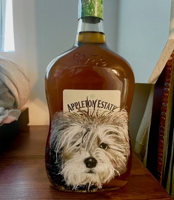 Your pet on a bottle