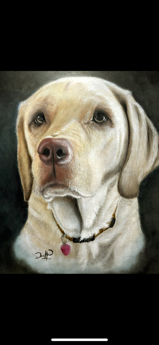Your pet on canvas